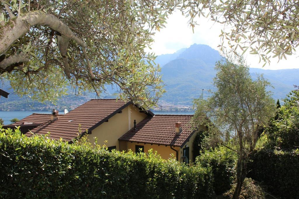 Appartamento Casa Gatti Oliveto Lario